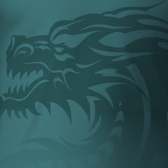 Rotary Across Wales Walk 2025 - V1 Tech Vest