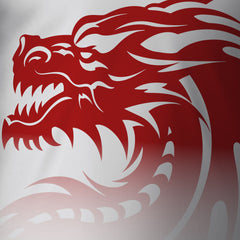 Rotary Across Wales Walk 2025 - V2 Tech Vest