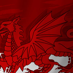 Rhondda Bowl - Tech Polo