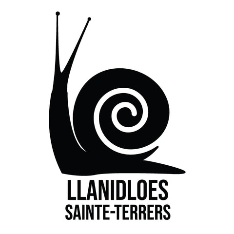 Llanidloes Sainte Terrers