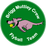 Brigg Muttley Crew Flyball Team