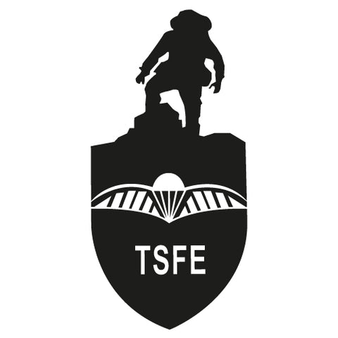 TSFE