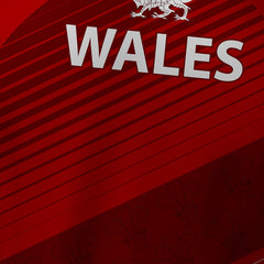 Wales - Tech Polo (CLEARANCE)