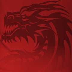 Rotary Across Wales Walk 2026 - V2 Tech Tee