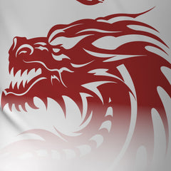 Rotary Across Wales Walk 2026 - V1 Tech Tee