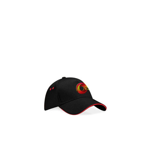 WTSF - Cap