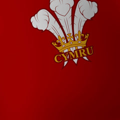 Knight Sportswear 2025 Wales - Tech Hoodie