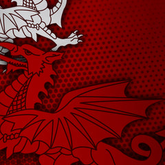 Knight Sportswear 2025 Wales - Tech Polo